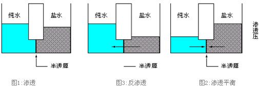  src=/up_files/image/Article/2011/10/31/38170571.jpg/></span></span></span></span></span></p><p style=text-align:left; LINE-HEIGHT: 140%><span style=font-size:12px;> </span></p><p></p><table style=WIDTH: 90% border=0 cellspacing=0 cellpadding=0 width=90% align=center><tbody><tr style=HEIGHT: 22px class=firstRow><td style=BORDER-BOTTOM-COLOR: #f8f8f9; PADDING-BOTTOM: 0cm; BORDER-TOP-COLOR: #f8f8f9; PADDING-LEFT: 0cm; PADDING-RIGHT: 0cm; HEIGHT: 22px; BORDER-RIGHT-COLOR: #f8f8f9; BORDER-LEFT-COLOR: #f8f8f9; PADDING-TOP: 0cm><p style=text-align:center; LINE-HEIGHT: 140%><span style=font-size:12px;><span style=font-family:宋体;><span style=color:black;> </span></span></span></p><p style=text-align:center; LINE-HEIGHT: 140%><span style=FONT-SIZE:12px><span style=FONT-FAMILY: 宋体><span style=color:black;><strong><span style=font-family:宋体;><span style=color:black;>下图为反渗透原理图及常规工艺流程图:</span></span></strong></span></span></span></p></td></tr><tr style=HEIGHT: 22px><td style=BORDER-BOTTOM-COLOR: #f8f8f9; PADDING-BOTTOM: 0cm; BORDER-TOP-COLOR: #f8f8f9; PADDING-LEFT: 0cm; PADDING-RIGHT: 0cm; HEIGHT: 22px; BORDER-RIGHT-COLOR: #f8f8f9; BORDER-LEFT-COLOR: #f8f8f9; PADDING-TOP: 0cm><p style=text-align:center; LINE-HEIGHT: 140%><span style=FONT-SIZE:12px><span style=FONT-FAMILY: 宋体><span style=color:black;><span style=font-family:宋体;><span style=color:black;><img style=WIDTH: 380.25pt; HEIGHT: 129pt alt=